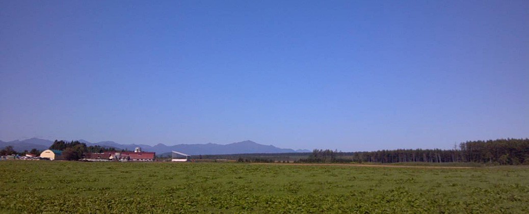 夏の風景