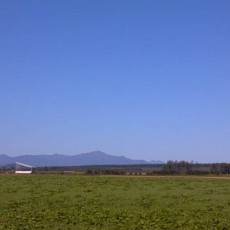 夏の風景