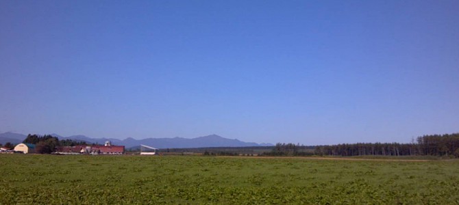 夏の風景